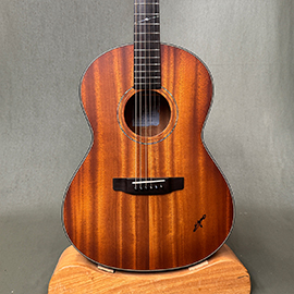 ボディーの奥行7.5cm Fホールにホロボディー、レスポールのようなフォルムでできたエレアコです。ピックアップマイクにはFISHMANを搭載しています。
			  本器はフレイムメイプルを採用したStyle2の特注カラーの『アクア』小振りであることからステージでの立ち回りも楽で、自宅練習ようのサブギターとしてお持ちになるのもオススメです。